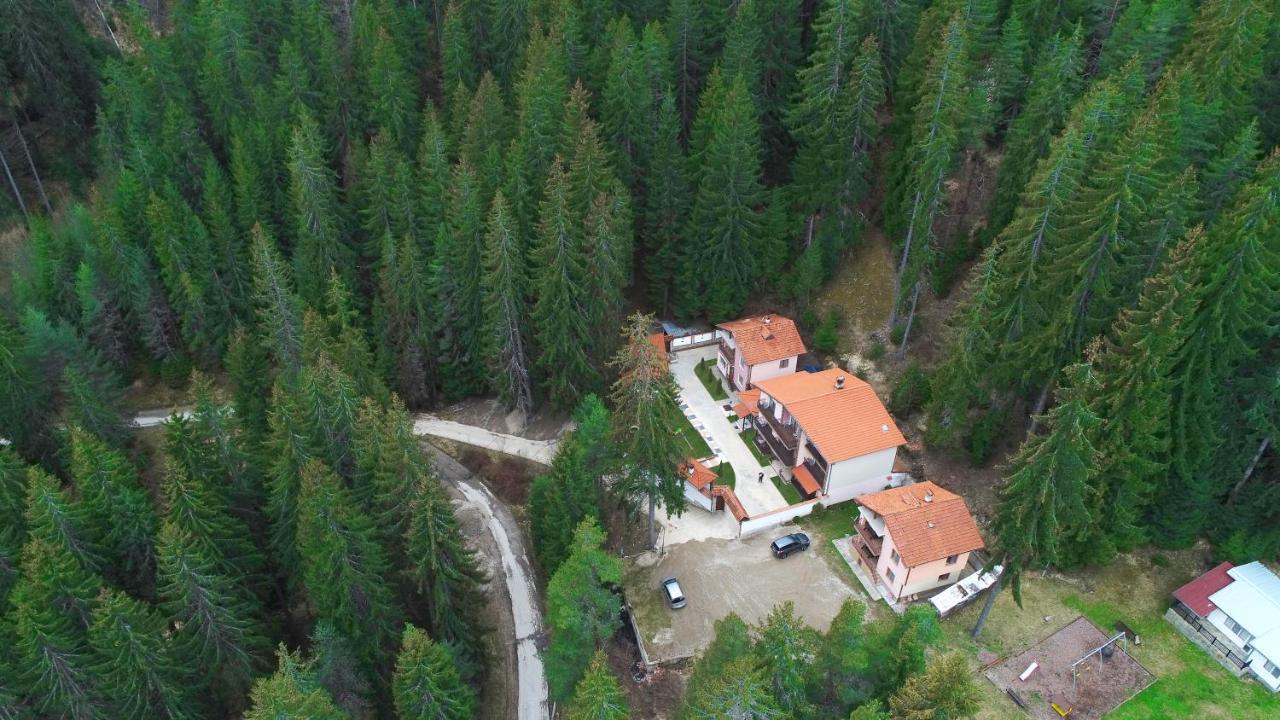 Ивелия Къща За Гости Dospat Dış mekan fotoğraf